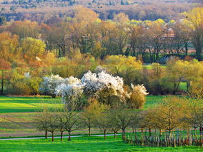 景观设计说明—打造和谐自然与人文的完美结合
