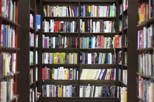 打造校园文化墙，为校园注入鲜活的生命力