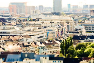 嘉兴19楼论坛，一座温暖的线上家园